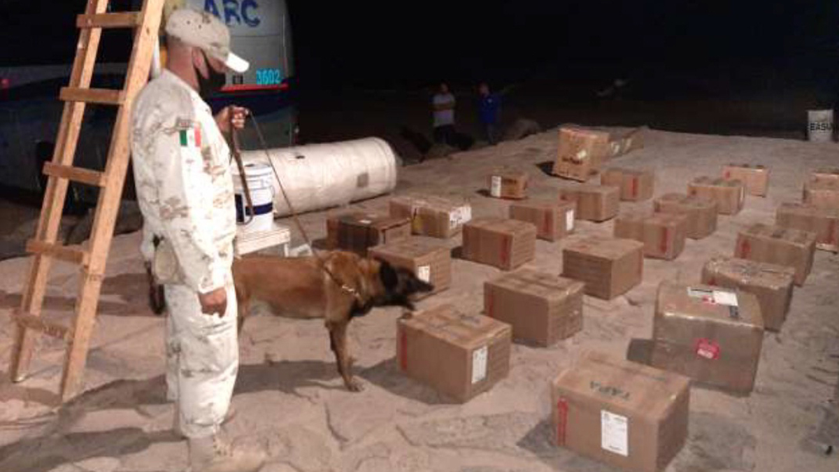 Sedena asegura más de tres toneladas de droga en diversos estados - droga-que-viajaba-oculta-en-un-autobus-de-pasajeros