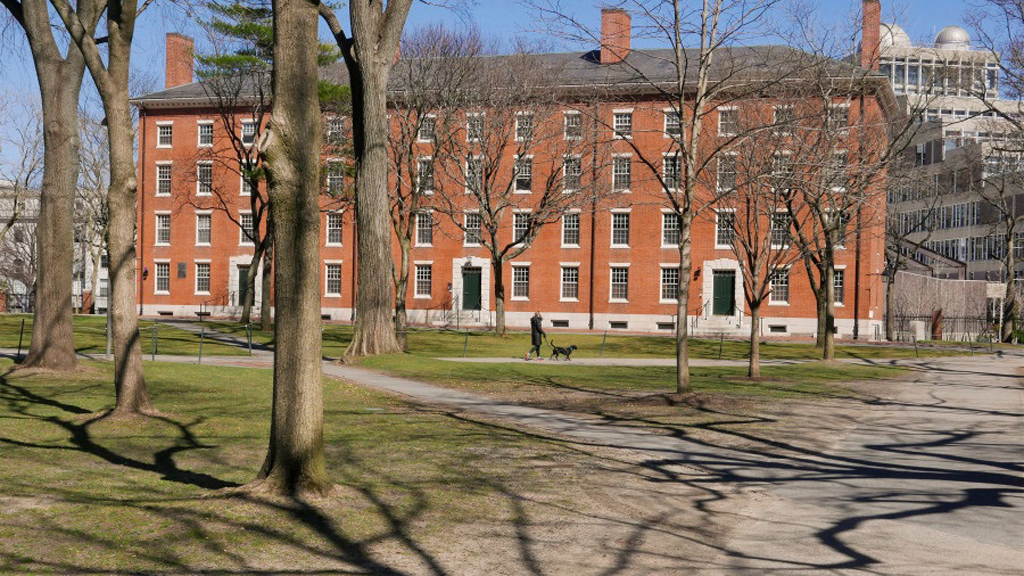 Trump califica de ‘ridícula’ la decisión de Harvard de impartir clases en línea