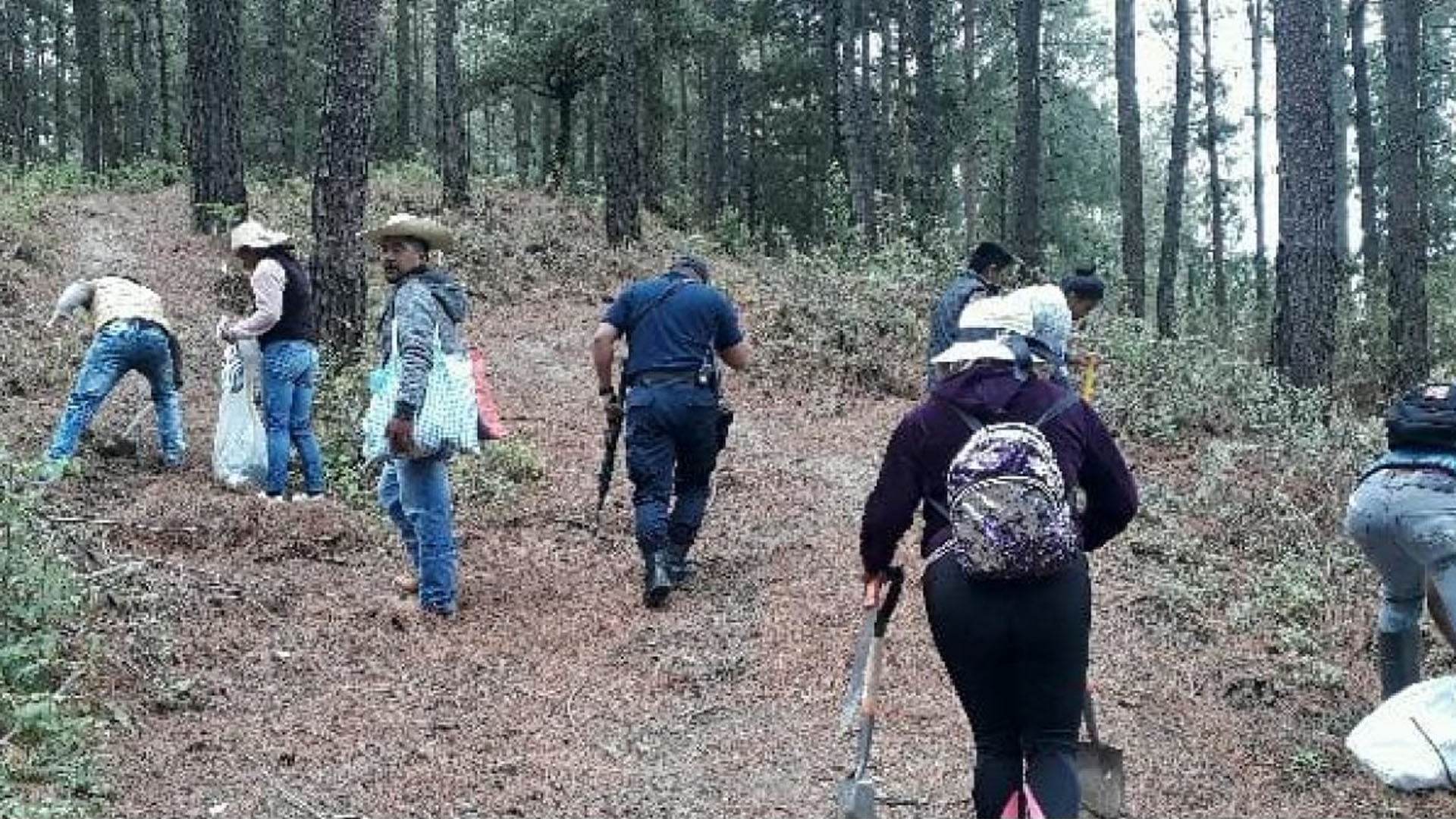 Denuncian ejidatarios de Michoacán amenazas del crimen organizado