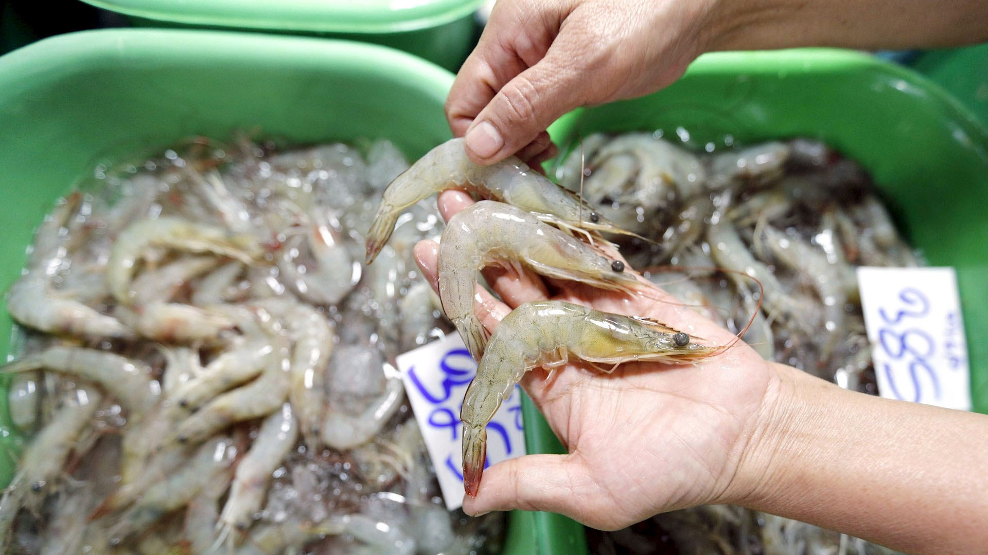 China suspende importación de gambas de Ecuador tras detectar COVID-19 en paquetes