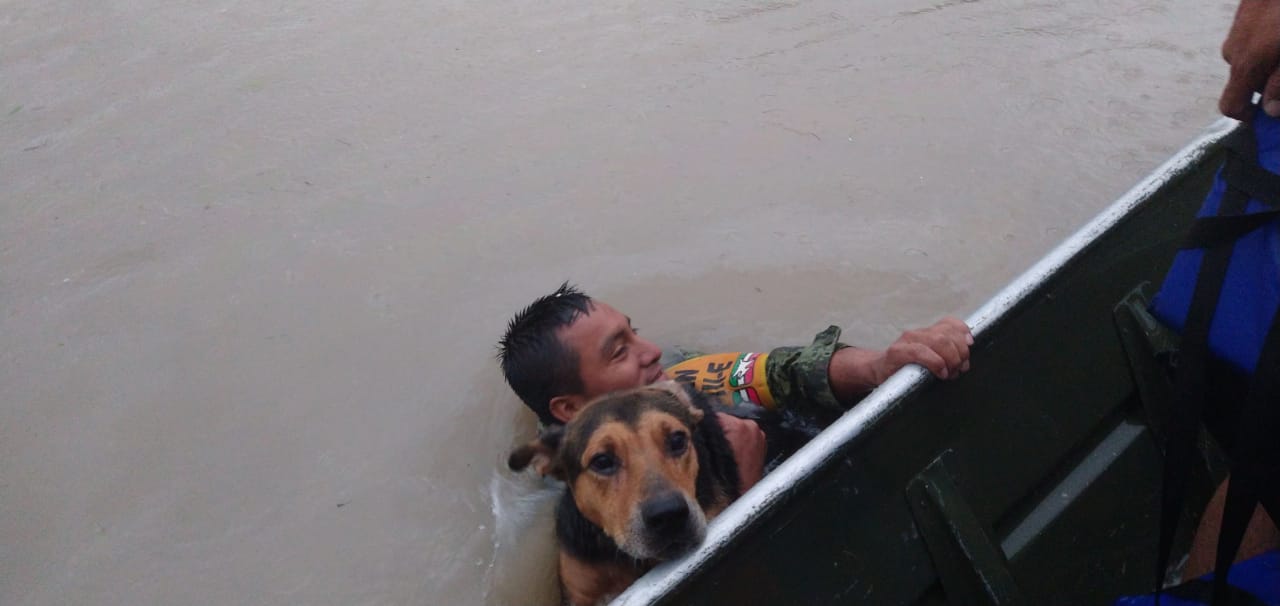 Fotos y videos: Al menos cuatro desaparecidos y daños a infraestructura, el paso de Hanna por México - hanna-2