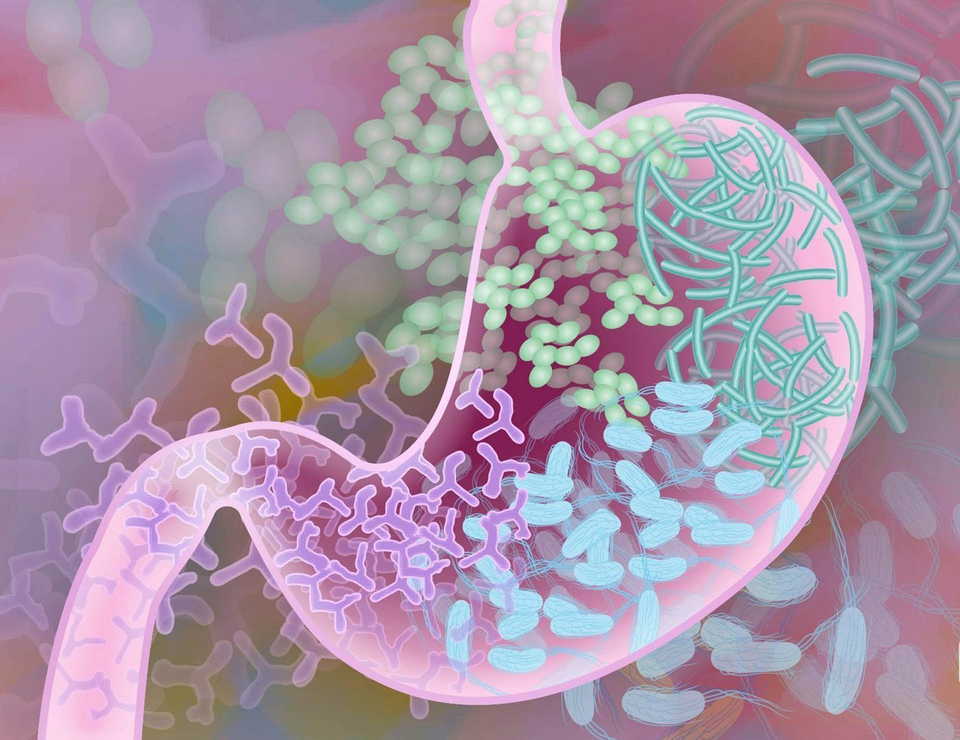 Parásitos en el intestino causan depresión, descubre UNAM - ilustracion-de-microbiota-intestinal