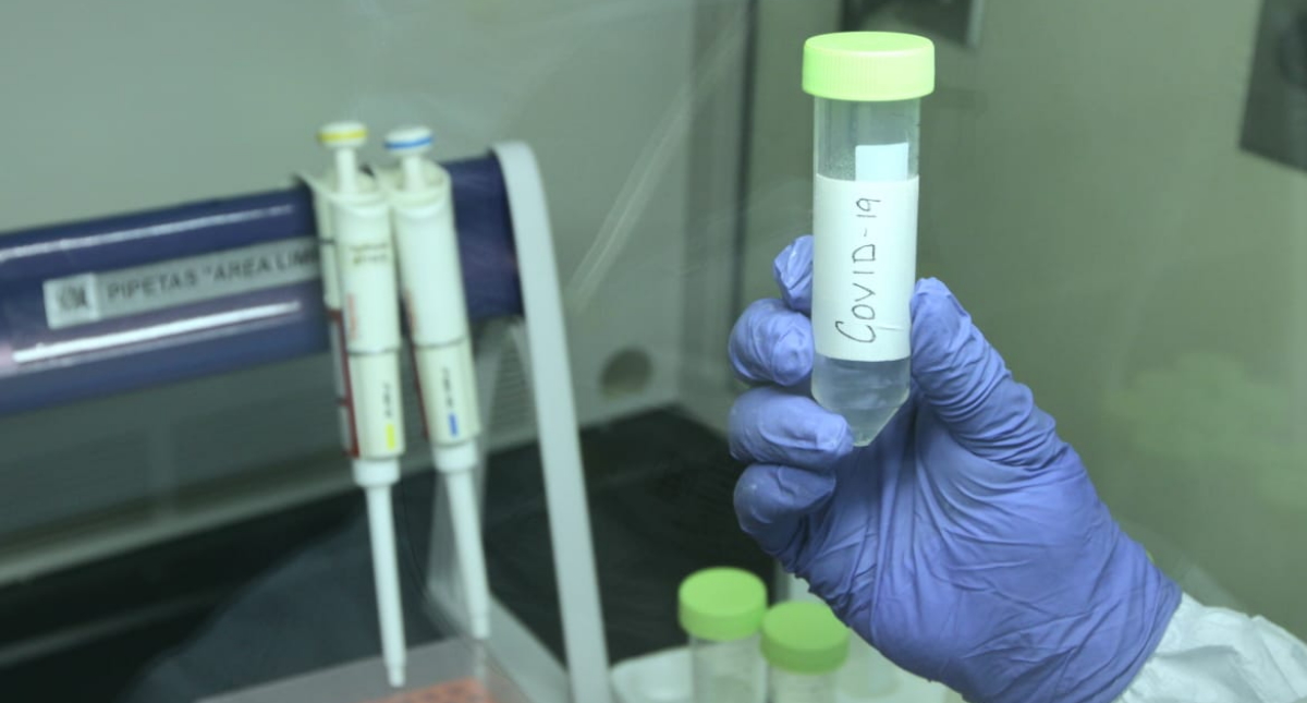 México y Argentina producirán y distribuirán en América Latina futura vacuna contra el COVID-19 México y Argentina producirán y distribuirán en América Latina futura vacuna contra el COVID-19