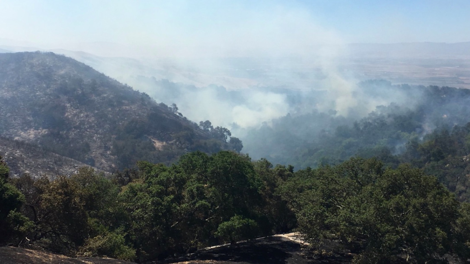 Primer gran incendio de la temporada obliga al desalojo de 70 personas en California