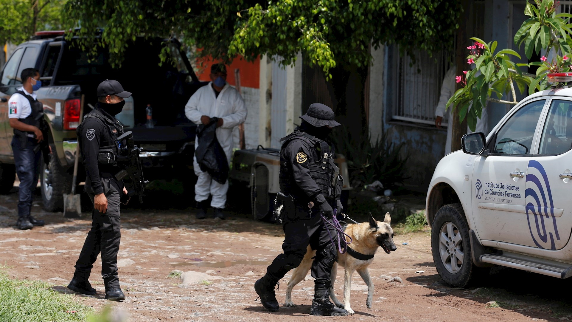 Suman 144 mil 276 homicidios dolosos en lo que va del sexenio Suman 144 mil 276 homicidios dolosos en lo que va del sexenio