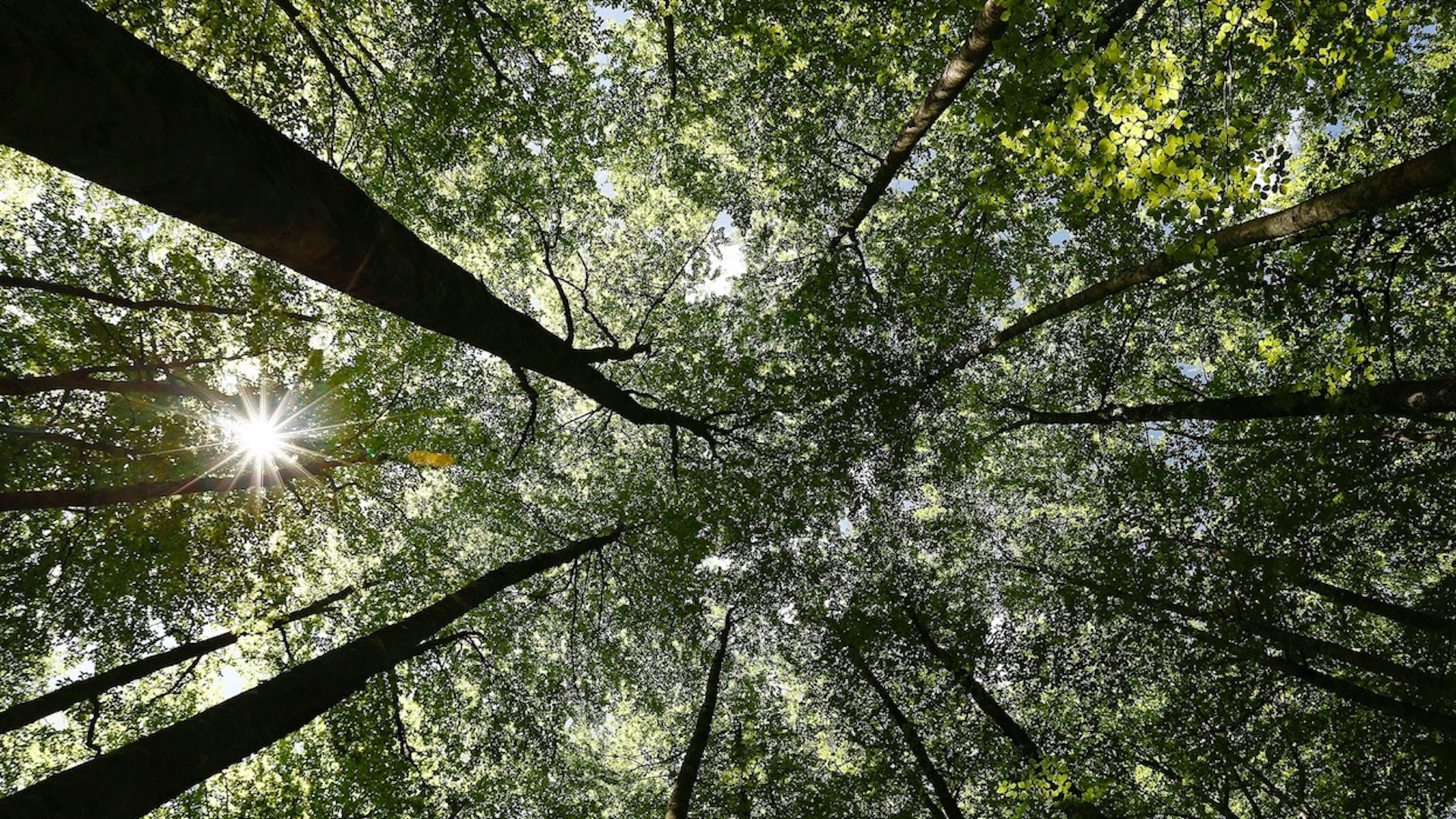 Voces indígenas y de mujeres encuentran impulso en foros ambientales Voces indígenas y de mujeres encuentran impulso en foros ambientales