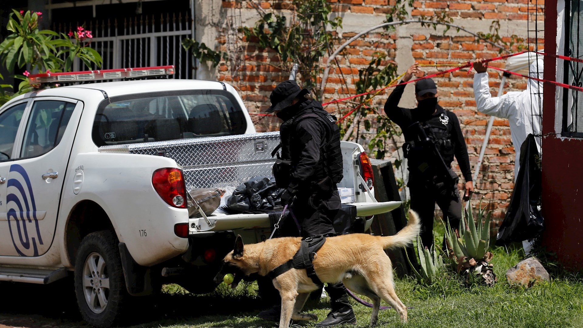 Suman 196 mil 91 homicidios dolosos en lo que va del sexenio