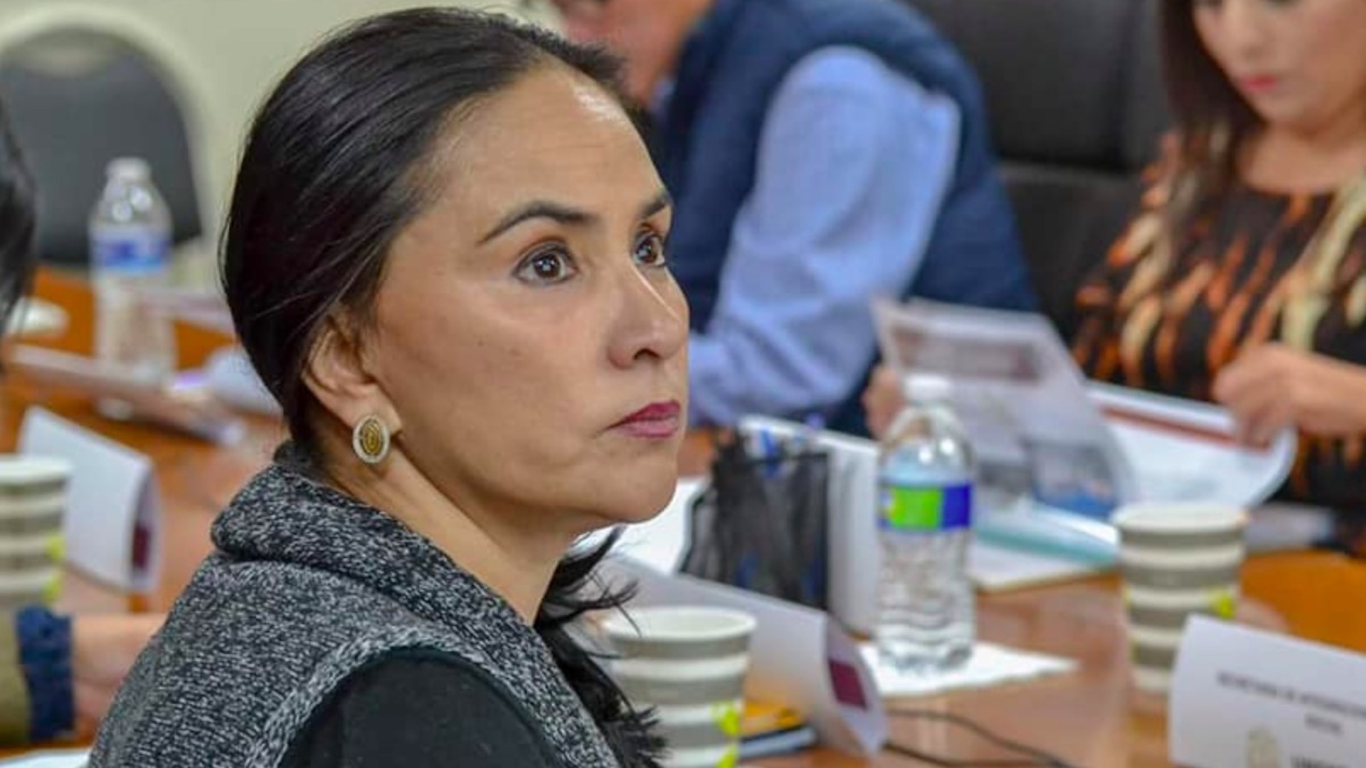 Nancy Sánchez se incorpora al Grupo Parlamentario de Morena