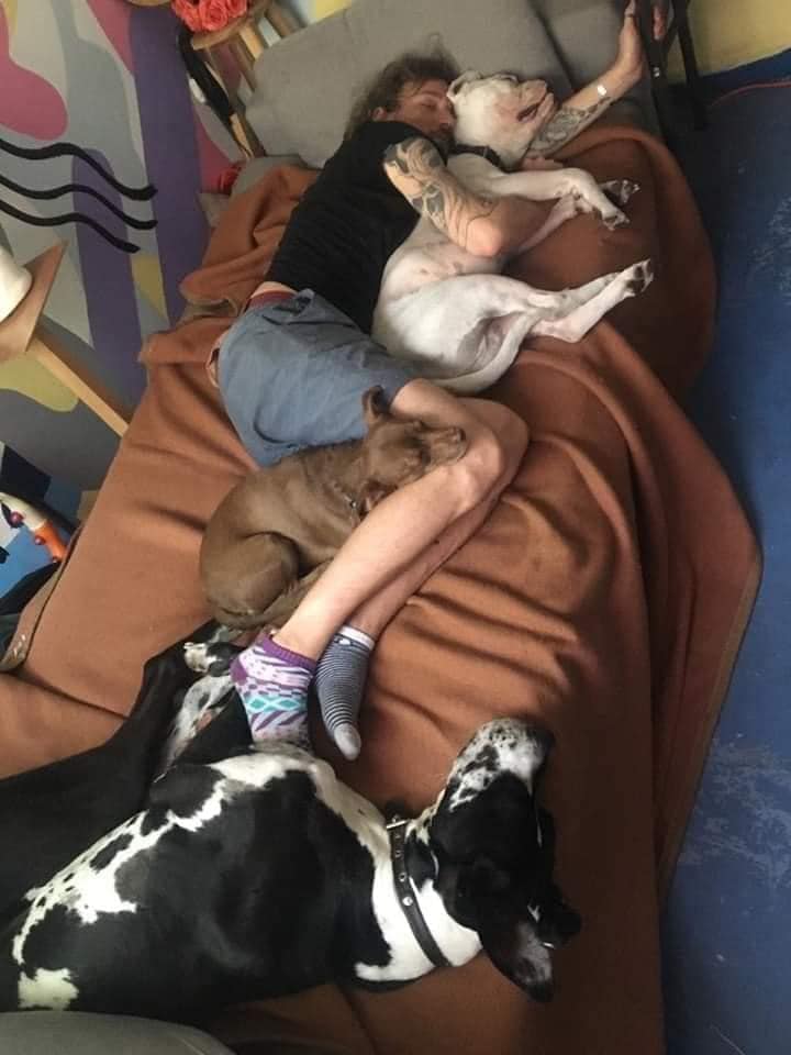 Murió el actor Pablo Fustec tras intentar rescatar a su perro - pablo-fustec-con-sus-tres-perros