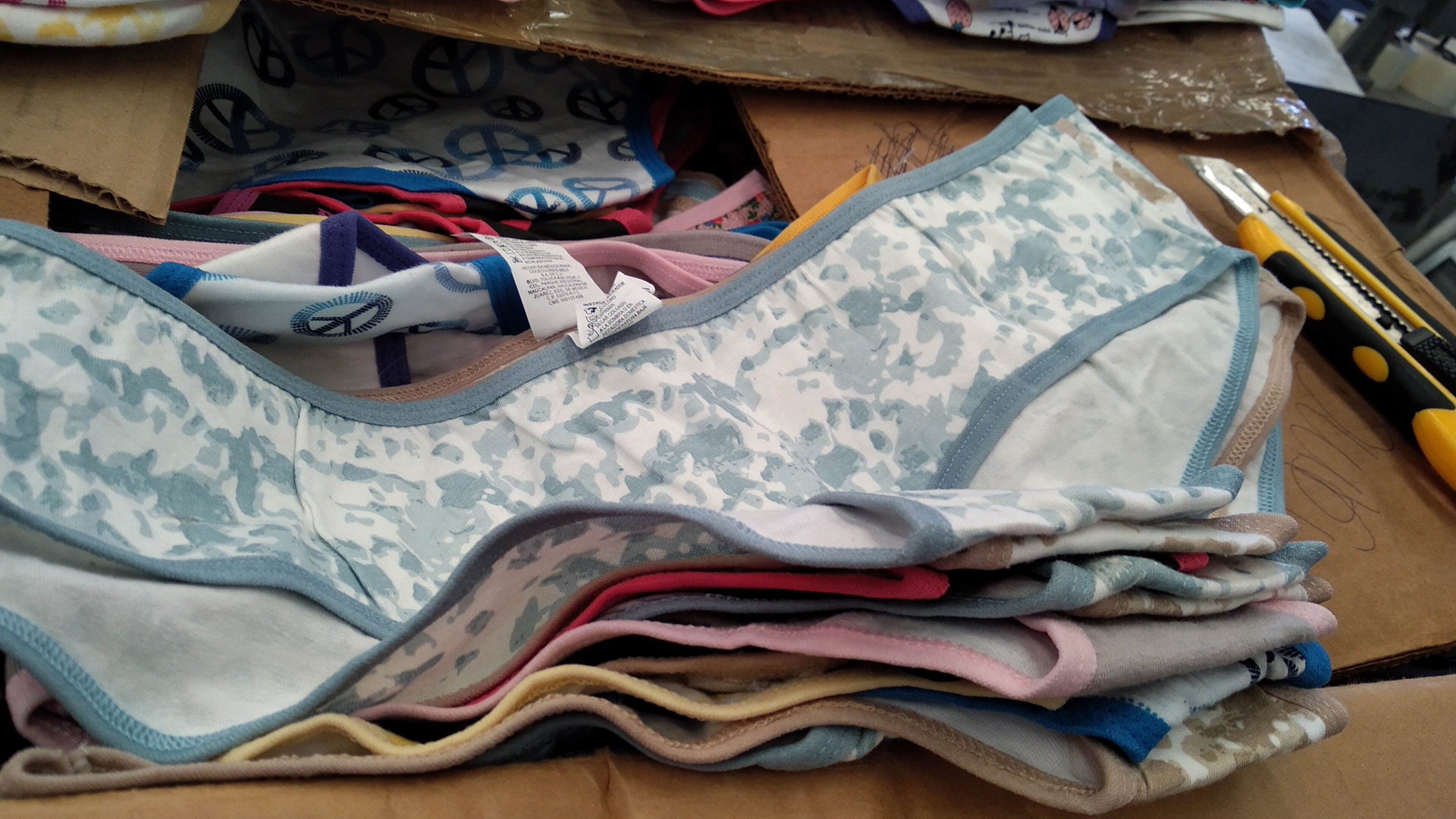 Subastarán tráileres y pantaletas a beneficio de municipios de Yucatán y Guerrero - pantaletas-a-subastar-por-el-indep