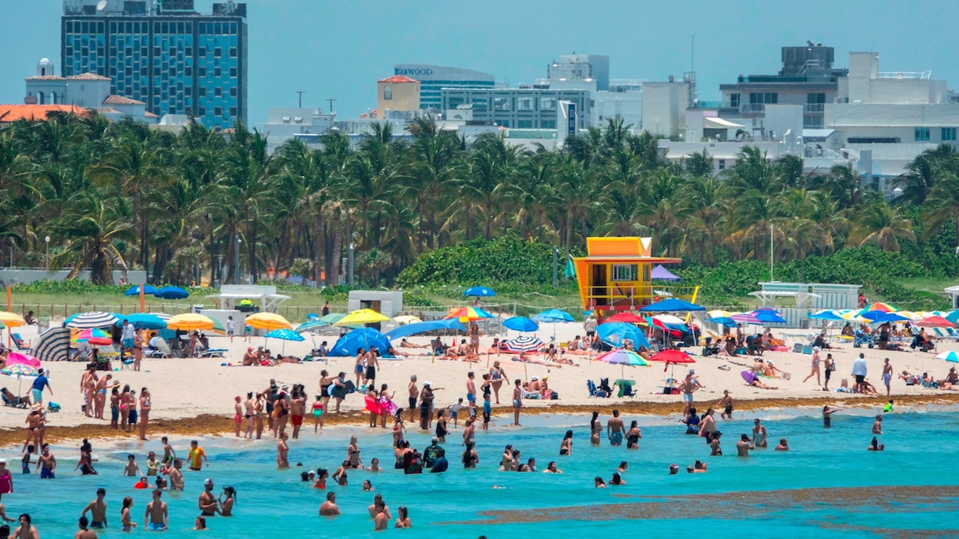 Reapertura temprana provoca repunte en casos de COVID-19 en EE.UU.