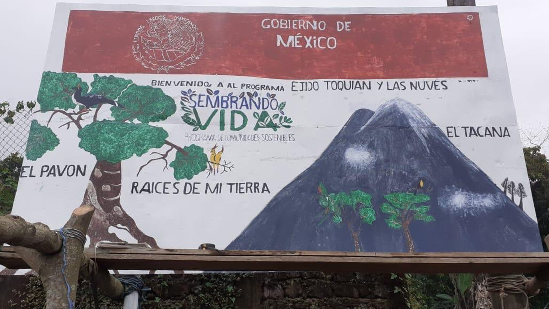 López Obrador defiende ‘Sembrando Vida’ pese a falta de resultados