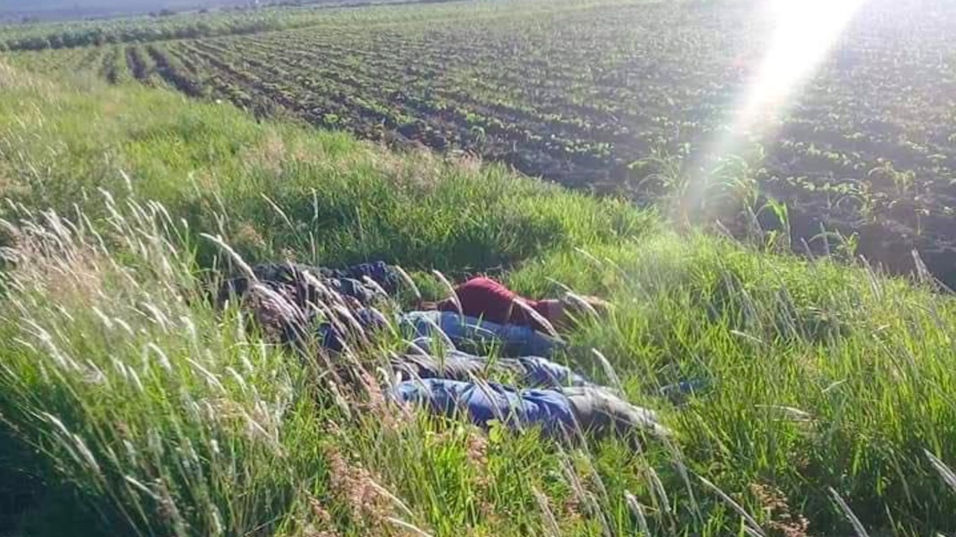 Asesinan a siete hombres en Jerécuaro, Guanajuato