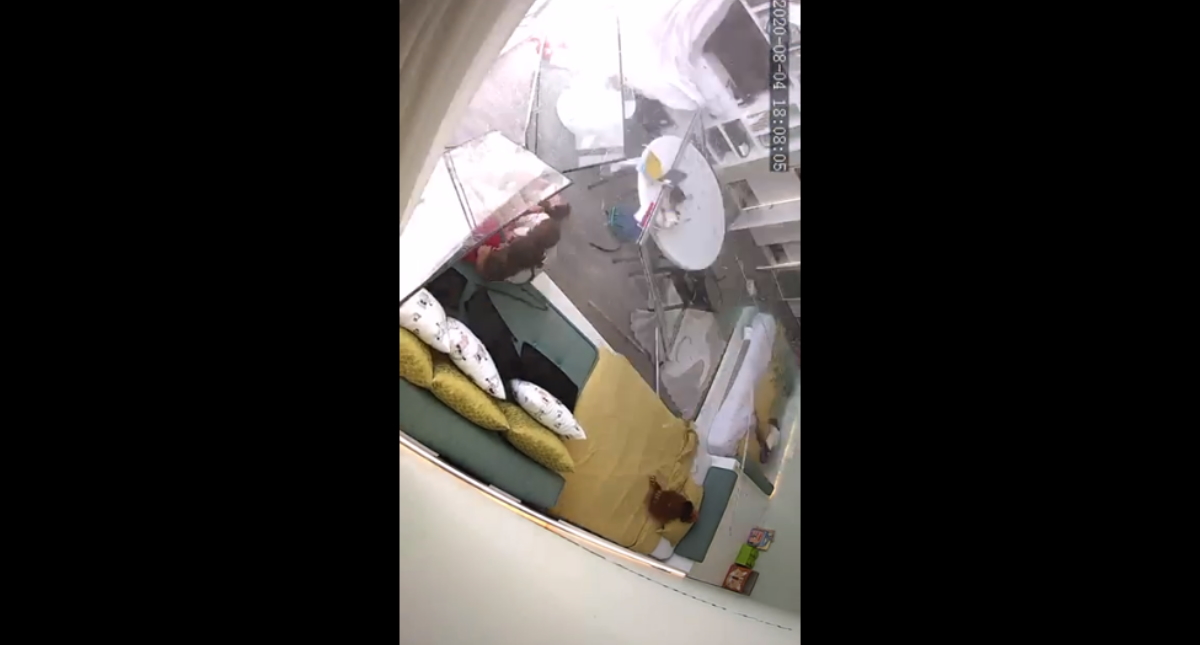 #Exclusiva Así vivieron la tragedia de Beirut tres menores de origen mexicano