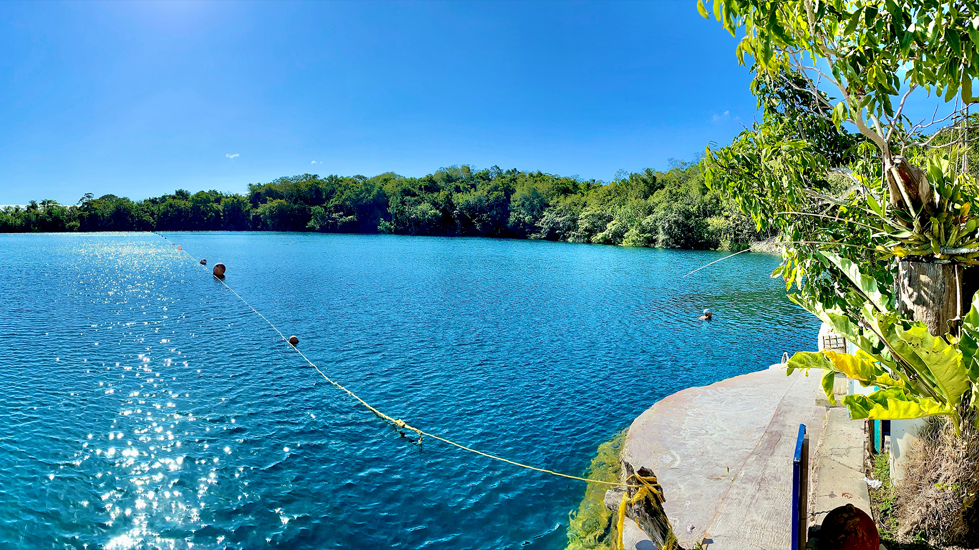 Encuentran cinco raros cenotes de agua dulce en el fondo del Caribe mexicano