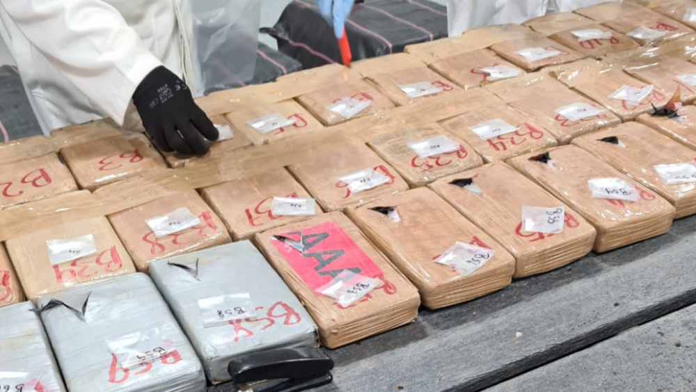 El más grande golpe al narco en CDMX: Aseguran tonelada y media de cocaína; pretendía ser distribuida en Tepito y Edomex El más grande golpe al narco en CDMX: Aseguran tonelada y media de cocaína; pretendía ser distribuida en Tepito y Edomex