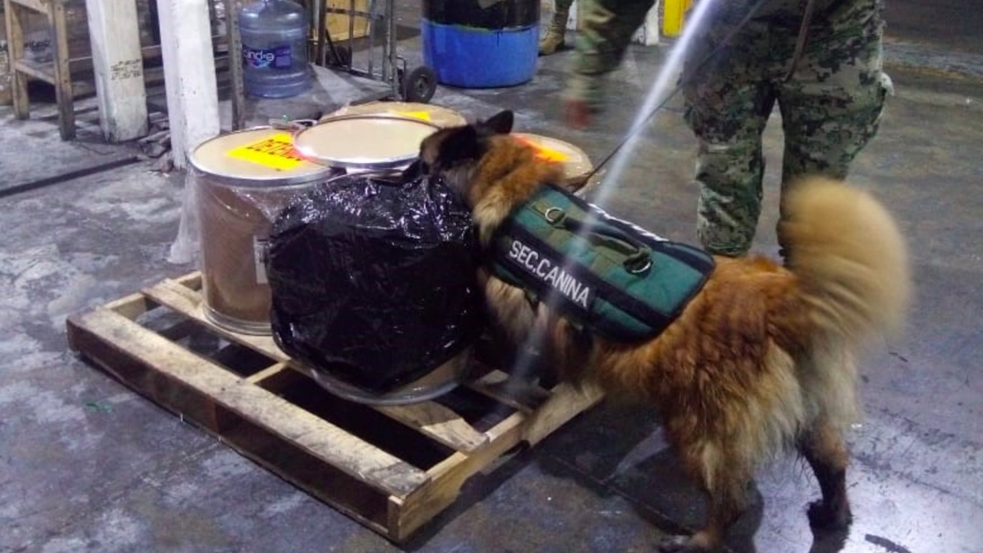 Decomisan 113.5 kilos de fentanilo en el AICM