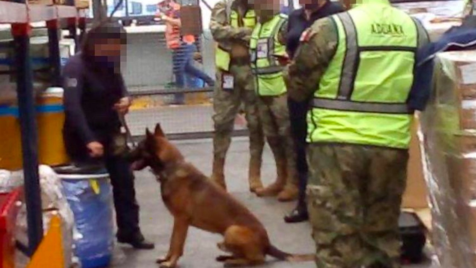 Decomisan 220 kilos de fentanilo en el Aeropuerto de la Ciudad de México