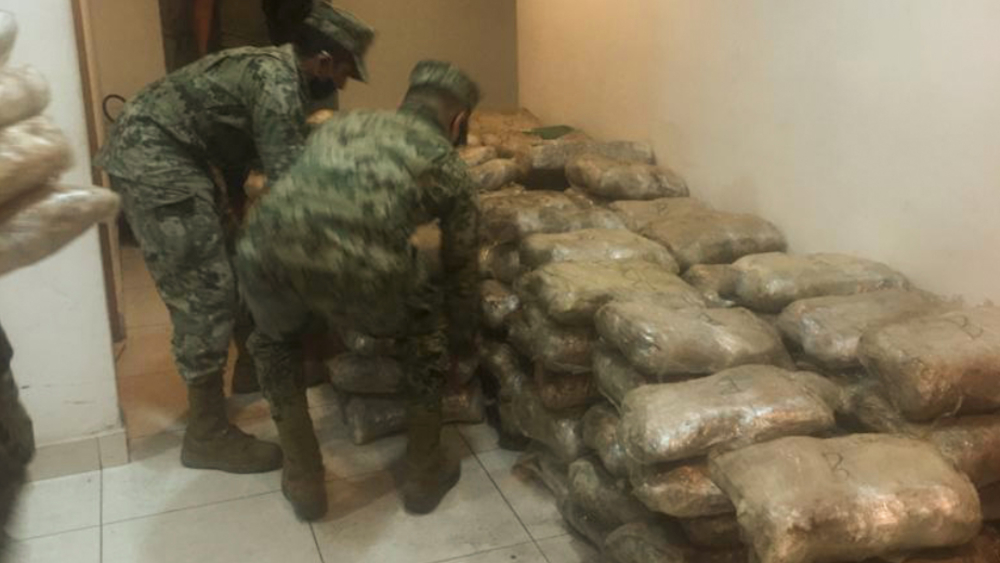 Ejército asegura casi dos toneladas de mariguana en Tijuana