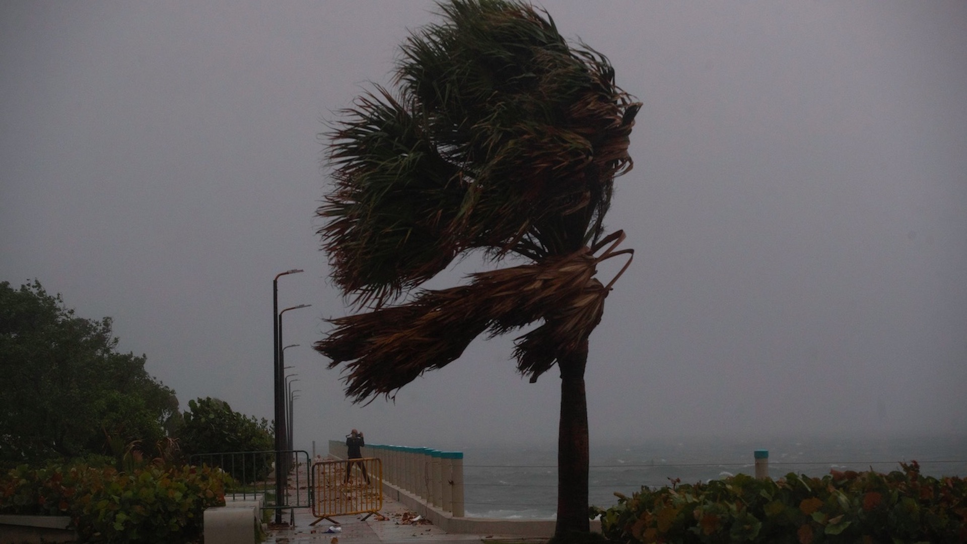 Aprueban declaración de emergencia para condados de Florida ante llegada de huracán Isaías