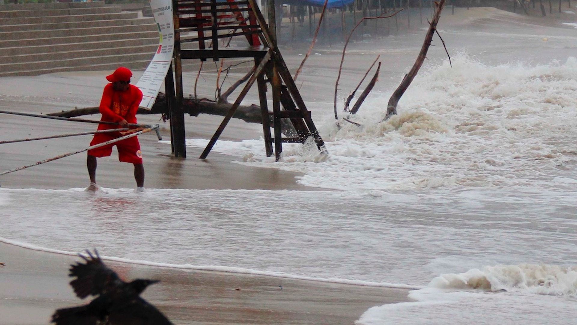 Genevieve se intensifica a huracán Categoría 4; seis entidades permanecen en alerta por fuerte oleaje Genevieve se intensifica a huracán Categoría 4; seis entidades permanecen en alerta por fuerte oleaje