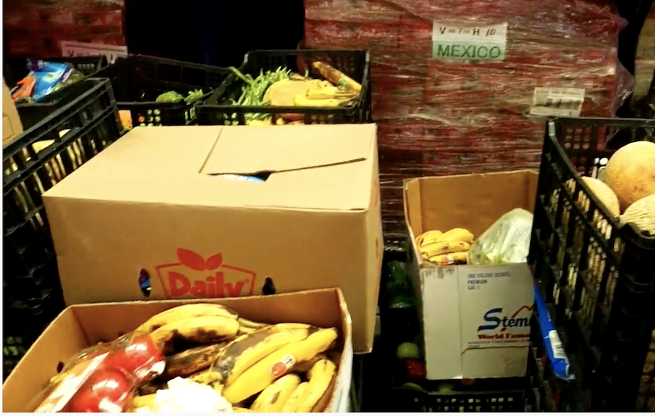 Alimentos y educación nutricional para frenar el hambre en México