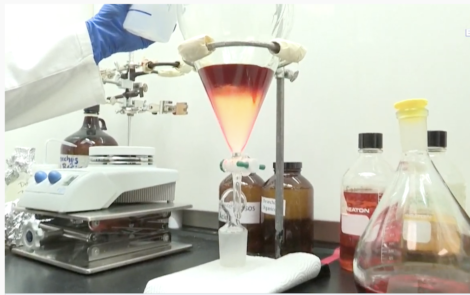 Científicos estudian hongos para disminuir la mortandad del COVID-19