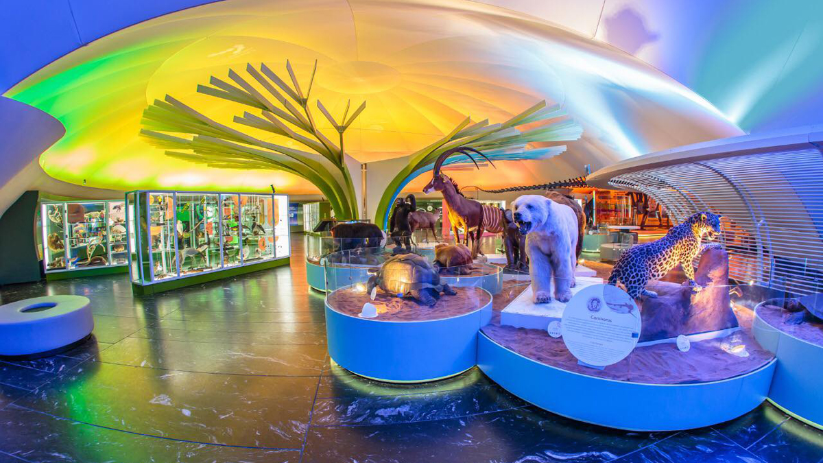 Más de 37 millones de personas visitaron museos en México durante 2022 Más de 37 millones de personas visitaron museos en México durante 2022