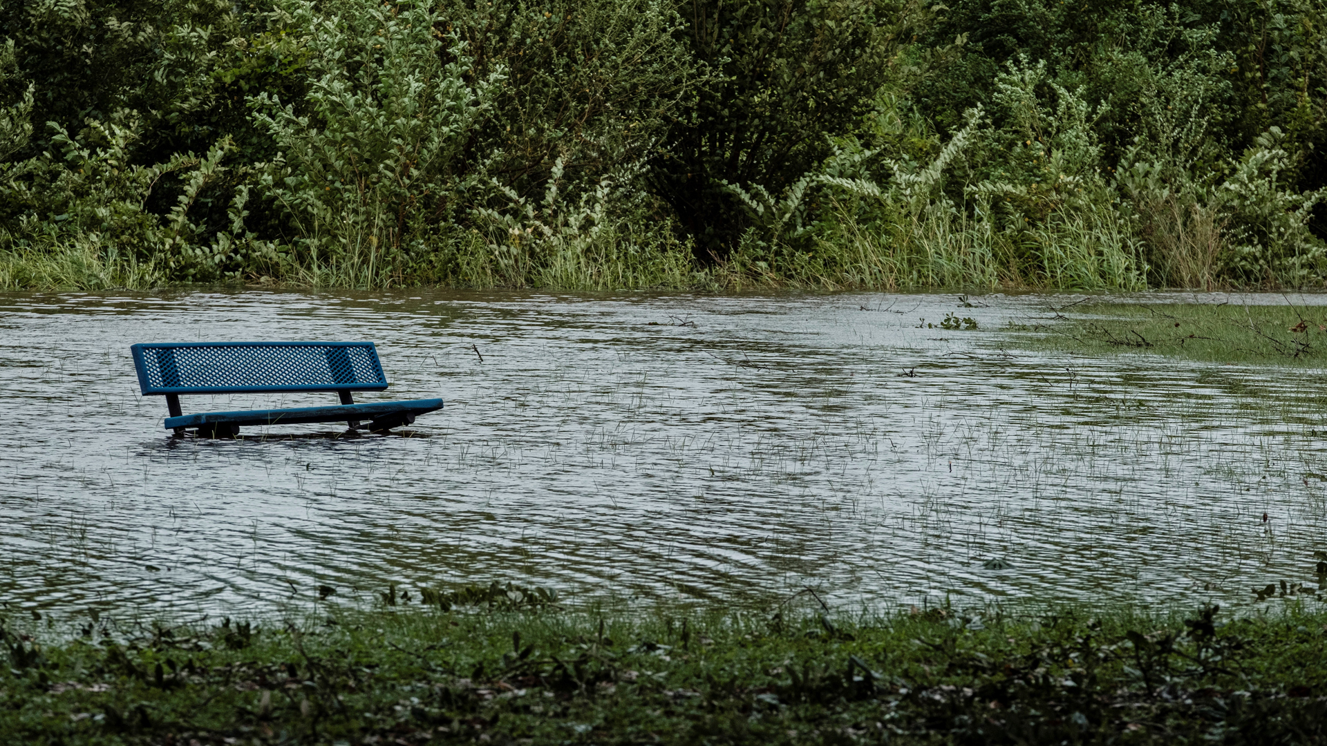 “No ha pasado lo peor”, advierten mayores afectaciones en Estados Unidos por Laura
