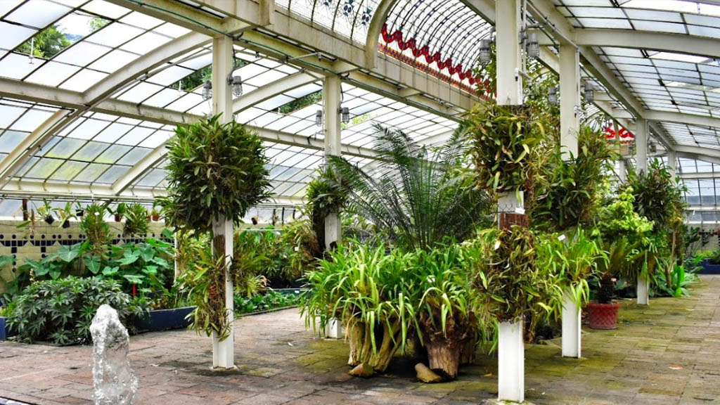 Rechaza Sheinbaum que se vaya a destruir el Jardín Botánico de Chapultepec