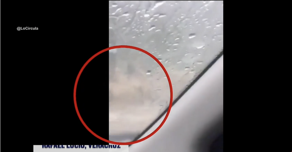 Vuelve a casa persona arrastrada por lluvias