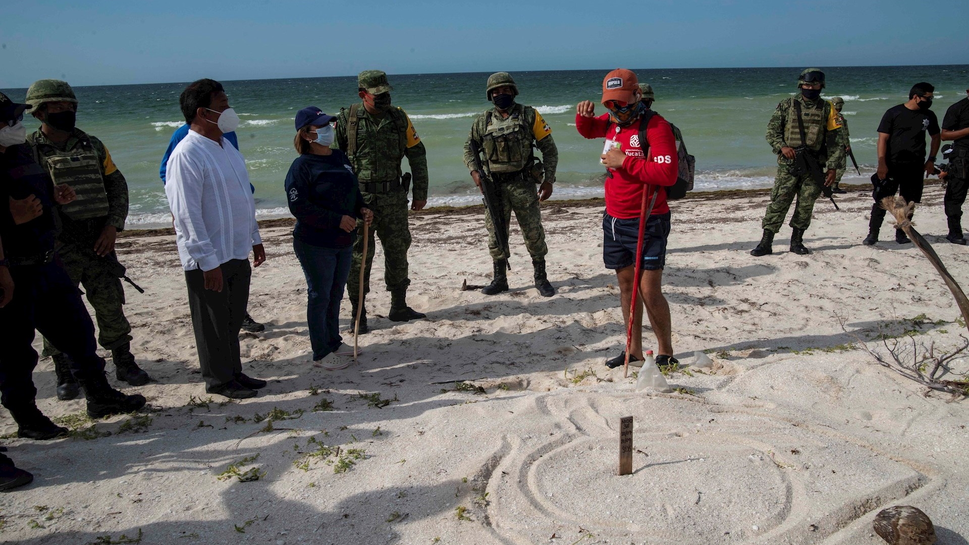 Soldados protegen nidos de tortuga en playas de Yucatán