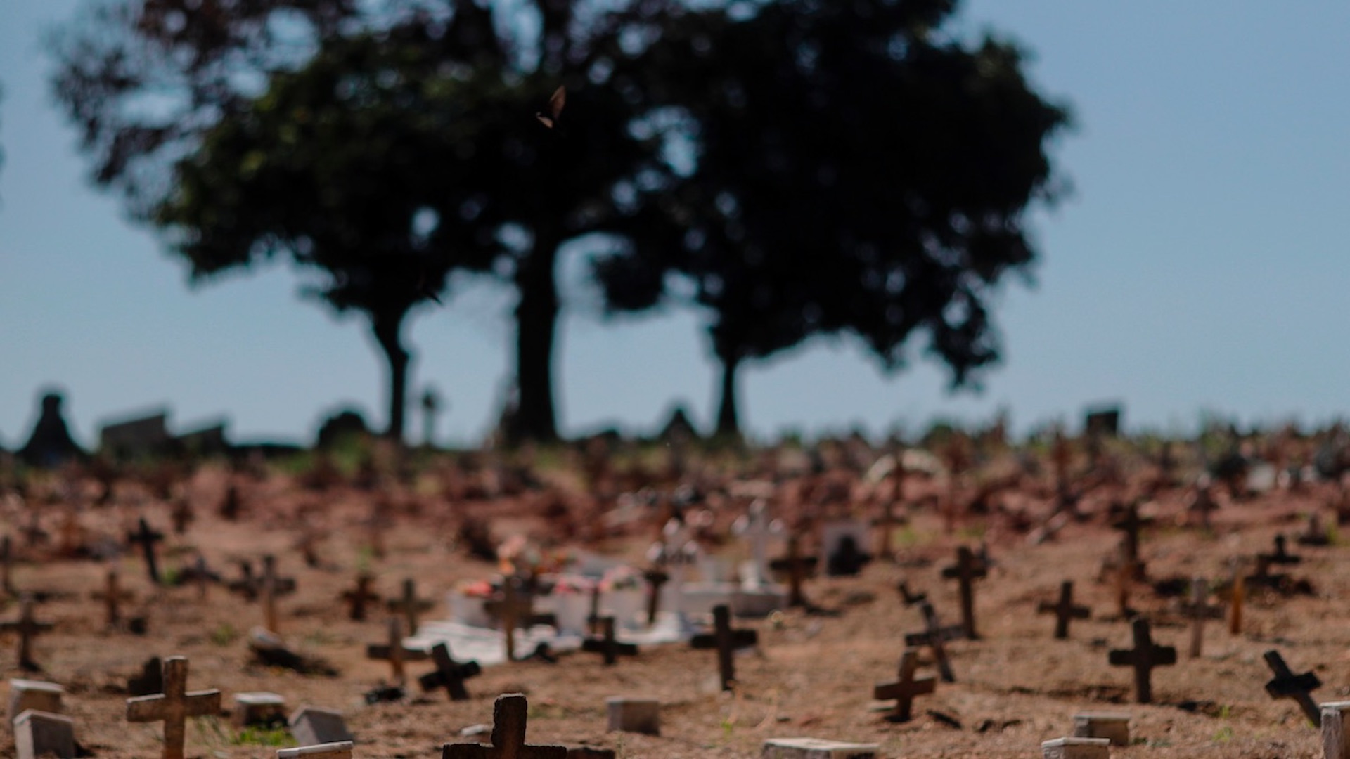Mueren 34 por cada 100 mil habitantes de COVID-19 en América; el promedio mundial es de 9