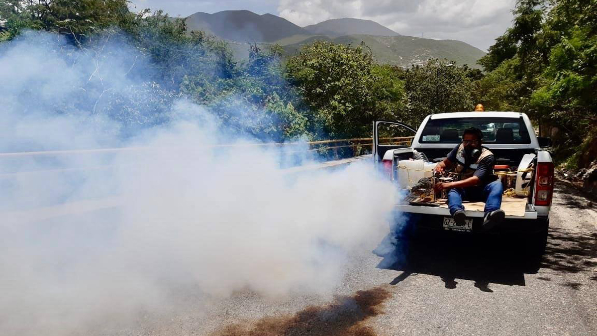 Llama Gobierno de Guerrero a evitar reproducción del mosco del dengue