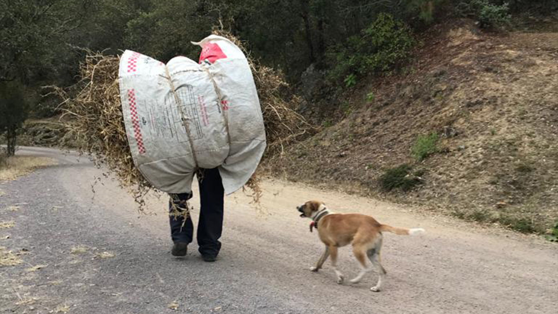 Soy un trazo delgado en medio de la selva