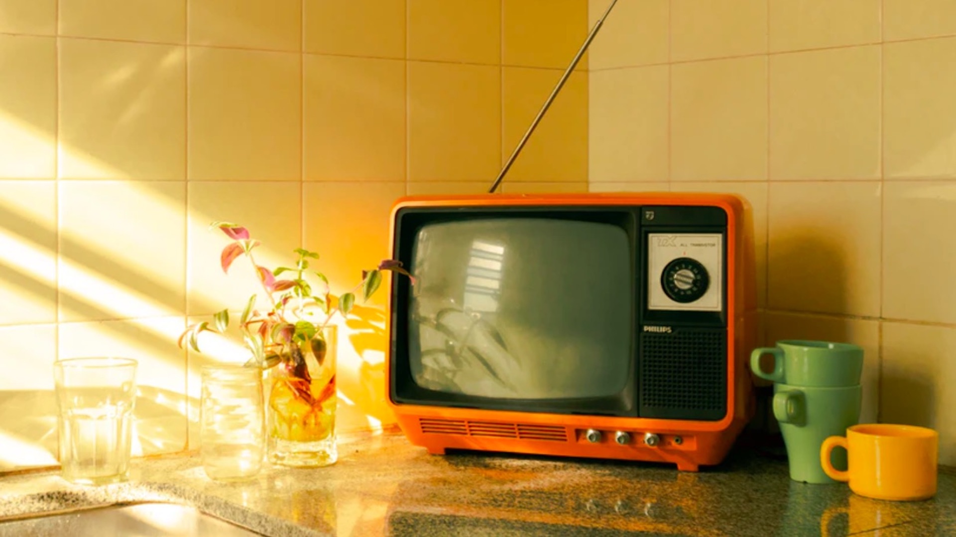 Tribunal prohíbe a mujer ver telenovelas todo el día en Georgia