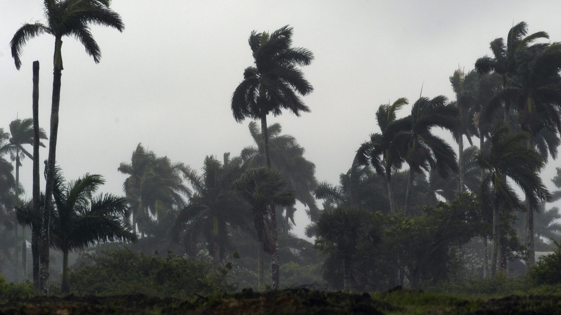 Crece alerta por Laura a su paso por el Golfo de México; Marco se degrada a depresión tropical