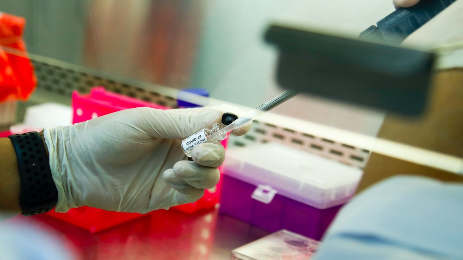 Hay otras opciones, México tendrá vacuna contra COVID-19: AMLO