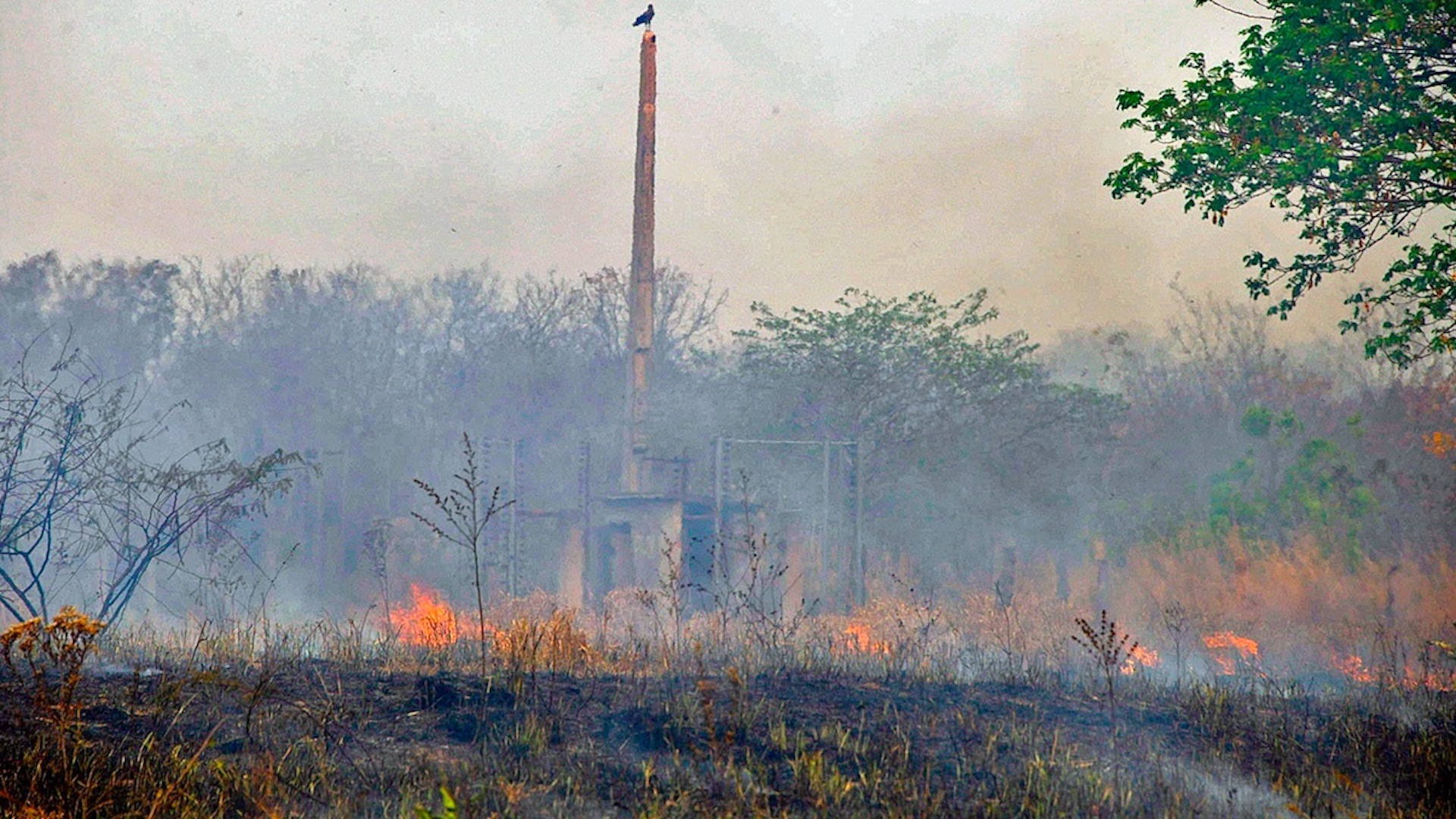 Incendios en Brasil alcanzan su segundo mayor número en 10 años Incendios en Brasil alcanzan su segundo mayor número en 10 años