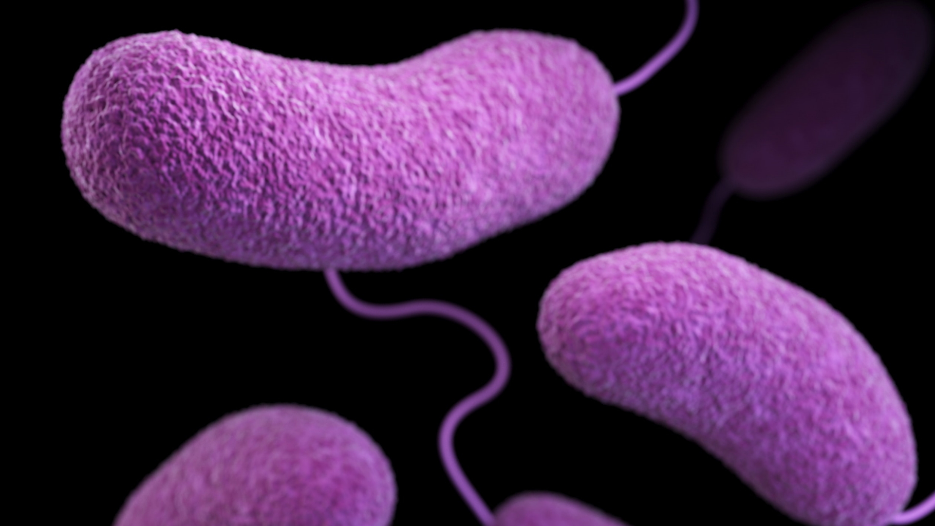 Alerta en ocho ciudades de Texas por ameba “comecerebros”