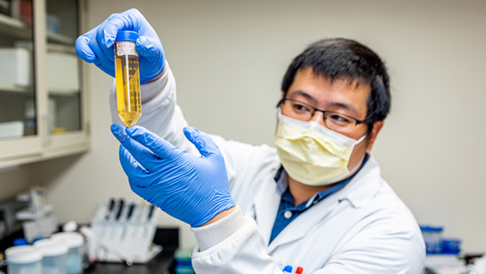 Científicos encuentran anticuerpo que neutraliza y previene el virus del COVID-19