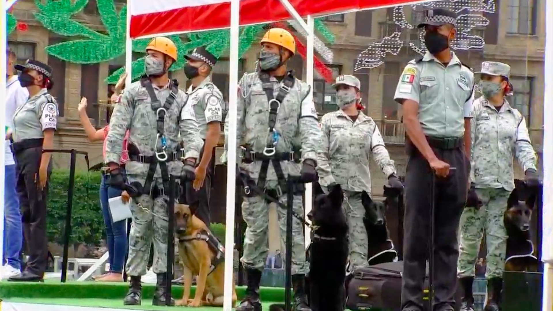Sin público y con medidas sanitarias, así se llevó a cabo el desfile militar por la Independencia de México - binomios-caninos