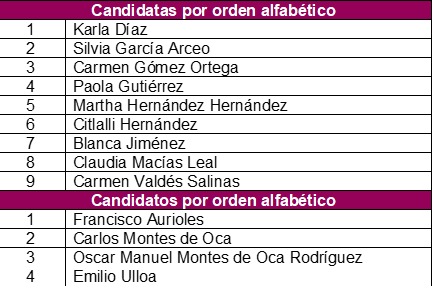 Mario Delgado, Yeidckol Polevnsky y Porfirio Muñoz Ledo a la encuesta para dirigir Morena; Gibrán Ramírez queda fuera - candidatos-morena-2