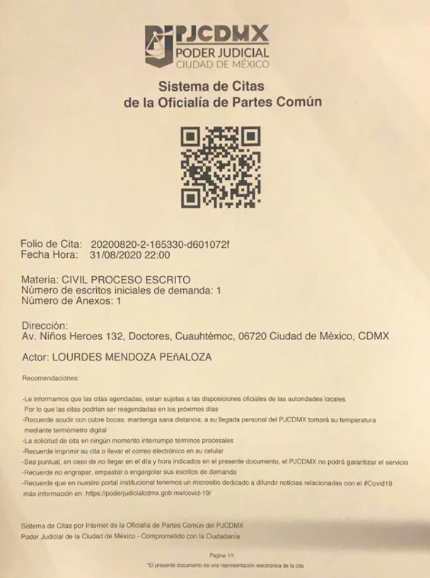 ¿Qué valor tienen los dichos de un delincuente?, por Lourdes Mendoza - caso-de-lourdes-mendoza3