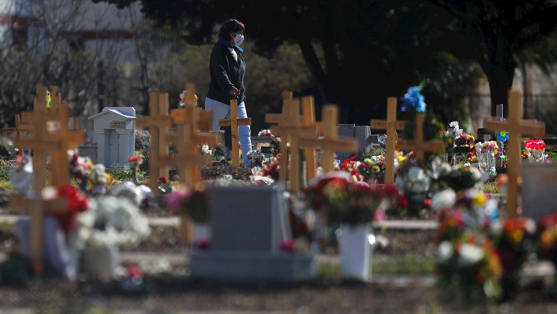 Alerta OPS riesgos en Latinoamérica por reapertura de vida social y pública ante COVID-19 - cementerio-coronavirus-covid-19