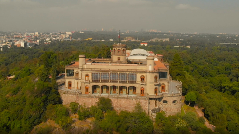 Artistas realizan maratón virtual contra proyecto del Bosque de Chapultepec