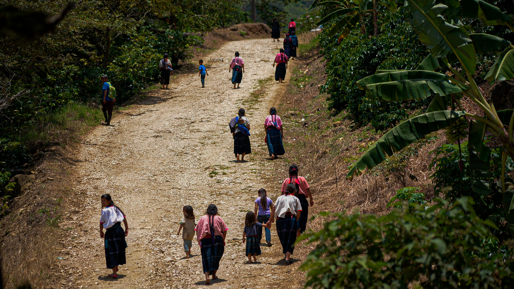 Comunidades indígenas de Chiapas preparan regreso a clases presenciales; aseguran que no existe el COVID-19