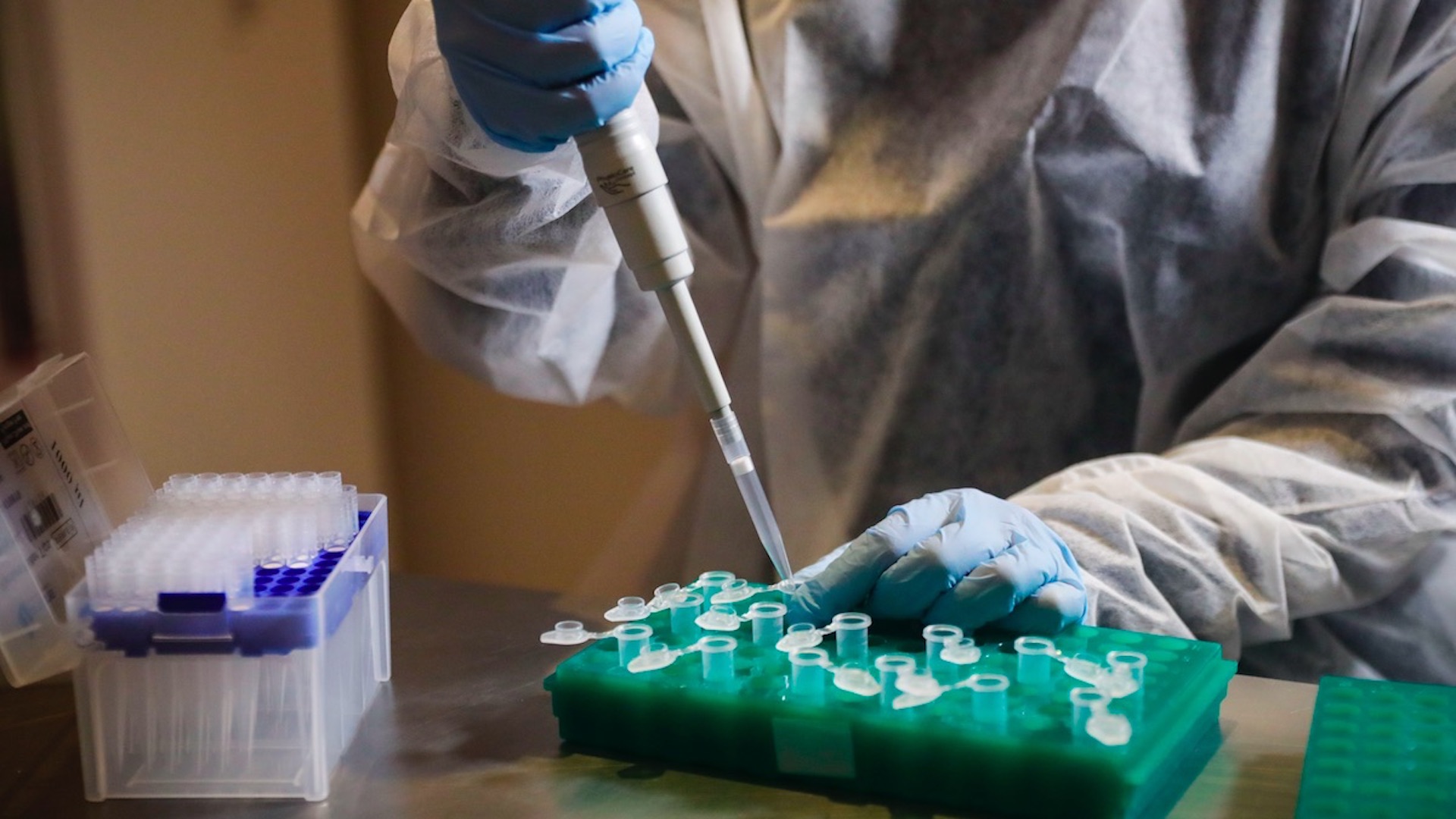 Reanudan AstraZeneca y Universidad de Oxford ensayos de vacuna contra COVID-19