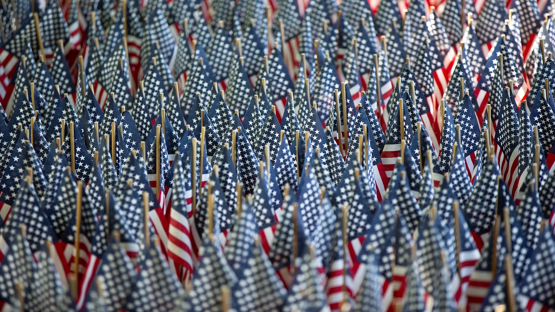 Estados Unidos supera los 204 mil muertos y 7 millones de casos de la COVID-19