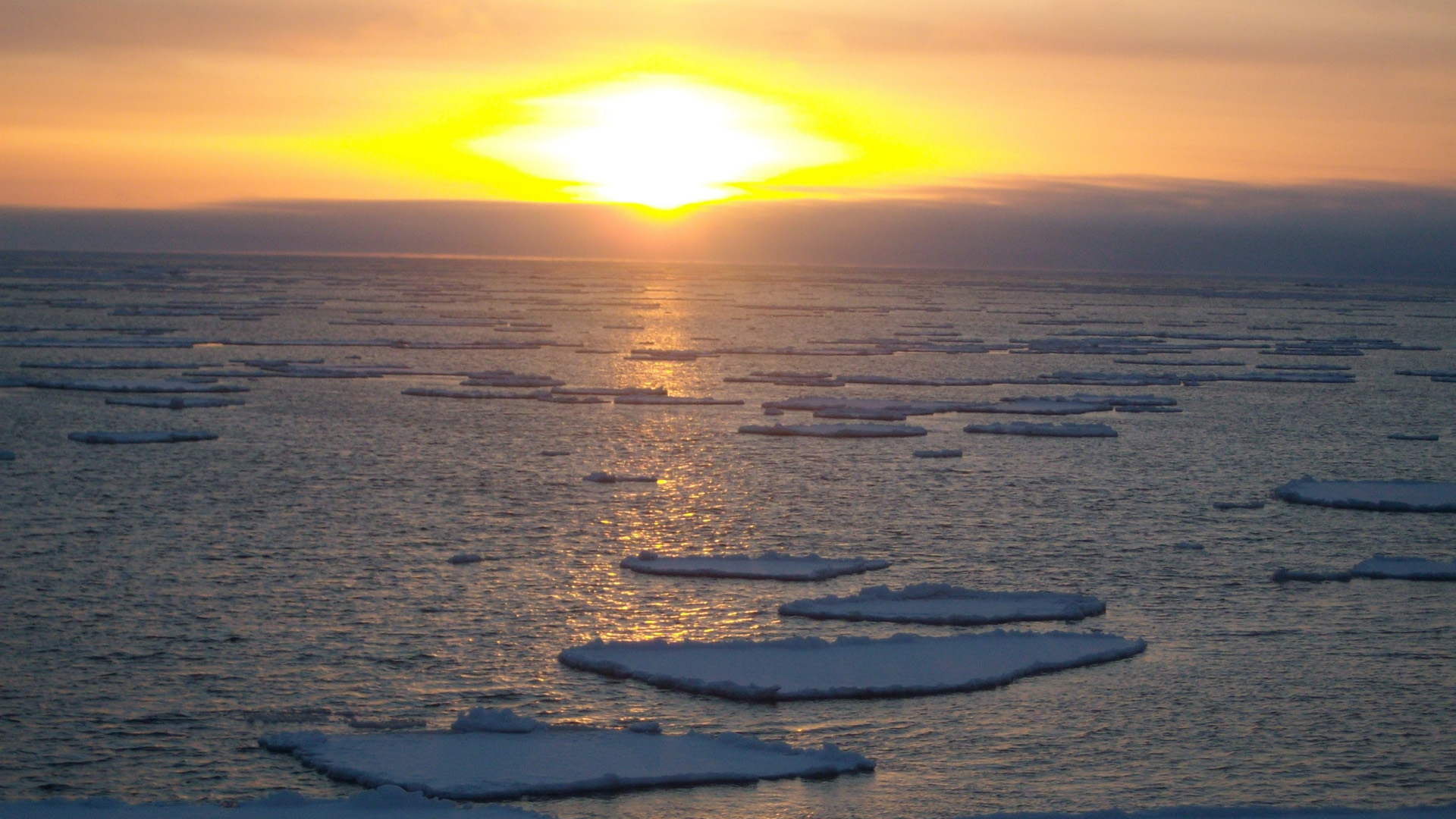 Advierten retroceso sin precedentes de hielo en el Mar de Bering Advierten retroceso sin precedentes de hielo en el Mar de Bering